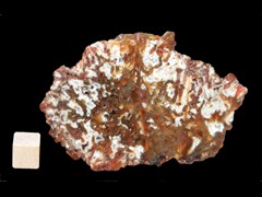 k2658