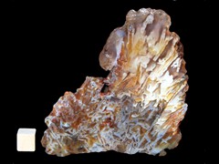 k2659