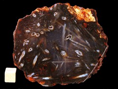 k2682