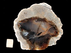 k2721