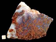 k2771