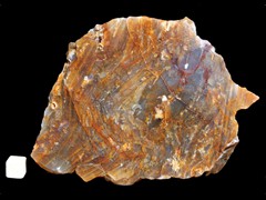 k2788