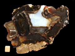 k2796