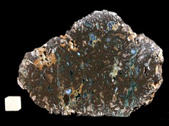 k2814