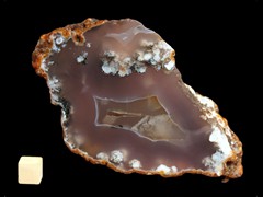 k2919