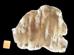k2922