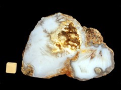 k2927
