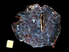 k2939