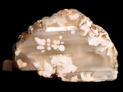 k2974