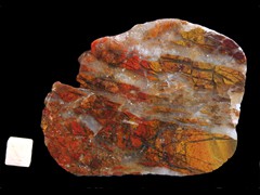 k2976