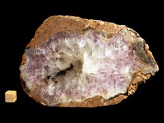 k2977 (2)