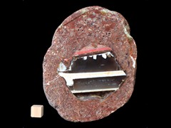 k3170