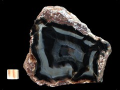 k3173