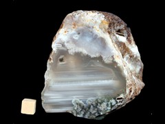 k3177