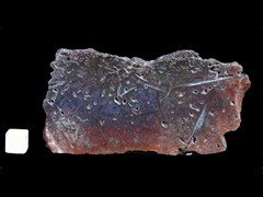k3255