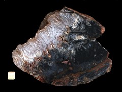 k3264