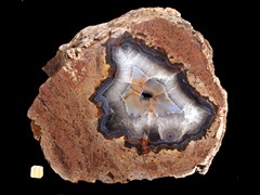 k3288