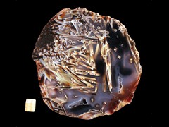 k3404
