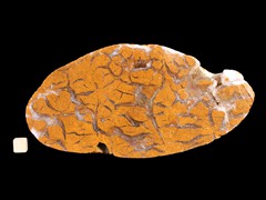 k3572