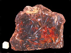 k3967