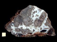 k4089