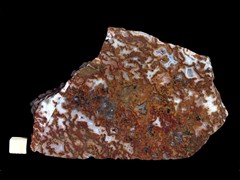 k4099
