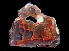 k4149
