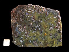 k4167