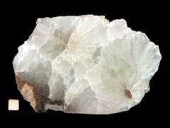 k4203
