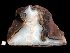 k4213