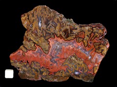 k4231