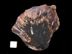 k4277