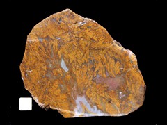 k4293
