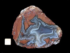 k4298