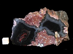 k4351