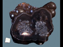 k4359