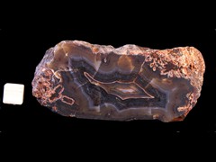 k4363