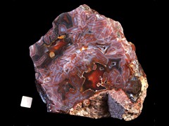 k4374