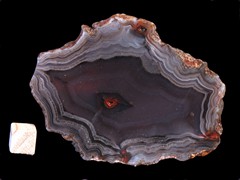 k4390