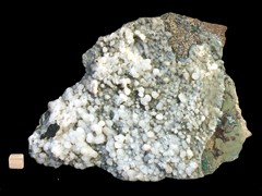 k4395