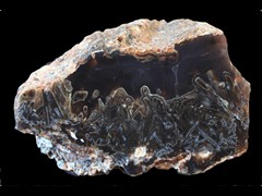 k4421