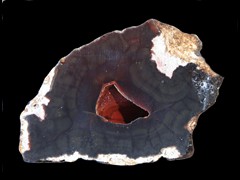 k4428