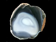 k4433