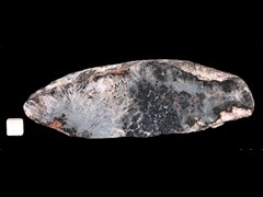 k4444