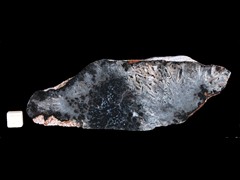 k4445