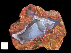 k4447