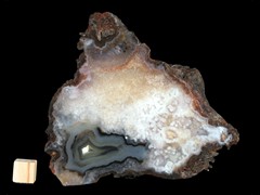 k4455