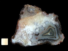 k4456
