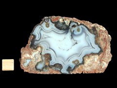 k4477