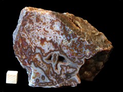 k4543